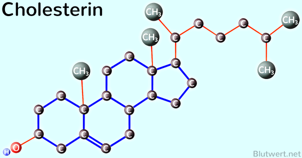 Cholesterin (Strukturformel)