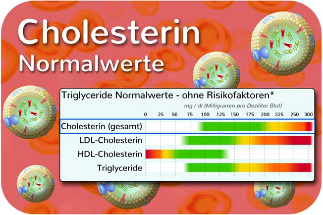 Cholesterin Normalwerte