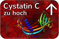 Cystatin C (Blutwert CysC) erhöht / zu hoch