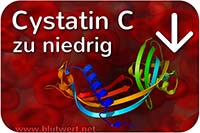 Cystatin C (Blutwert CysC) vermindert / zu niedrig