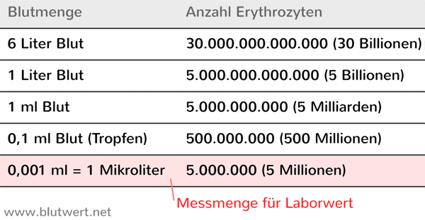 Erythrozyten-Anzahl