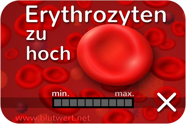 Zu viele Erythrozyten: Blutwert Ery erhöht, zu hoch