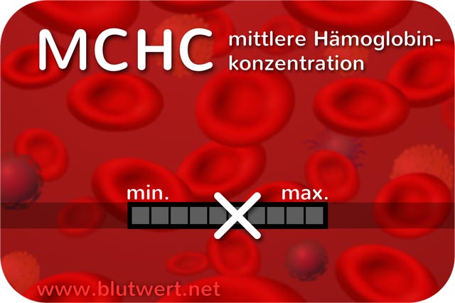 Blutwert Durchschnittliche Hämoglobinkonzentration (MCHC)